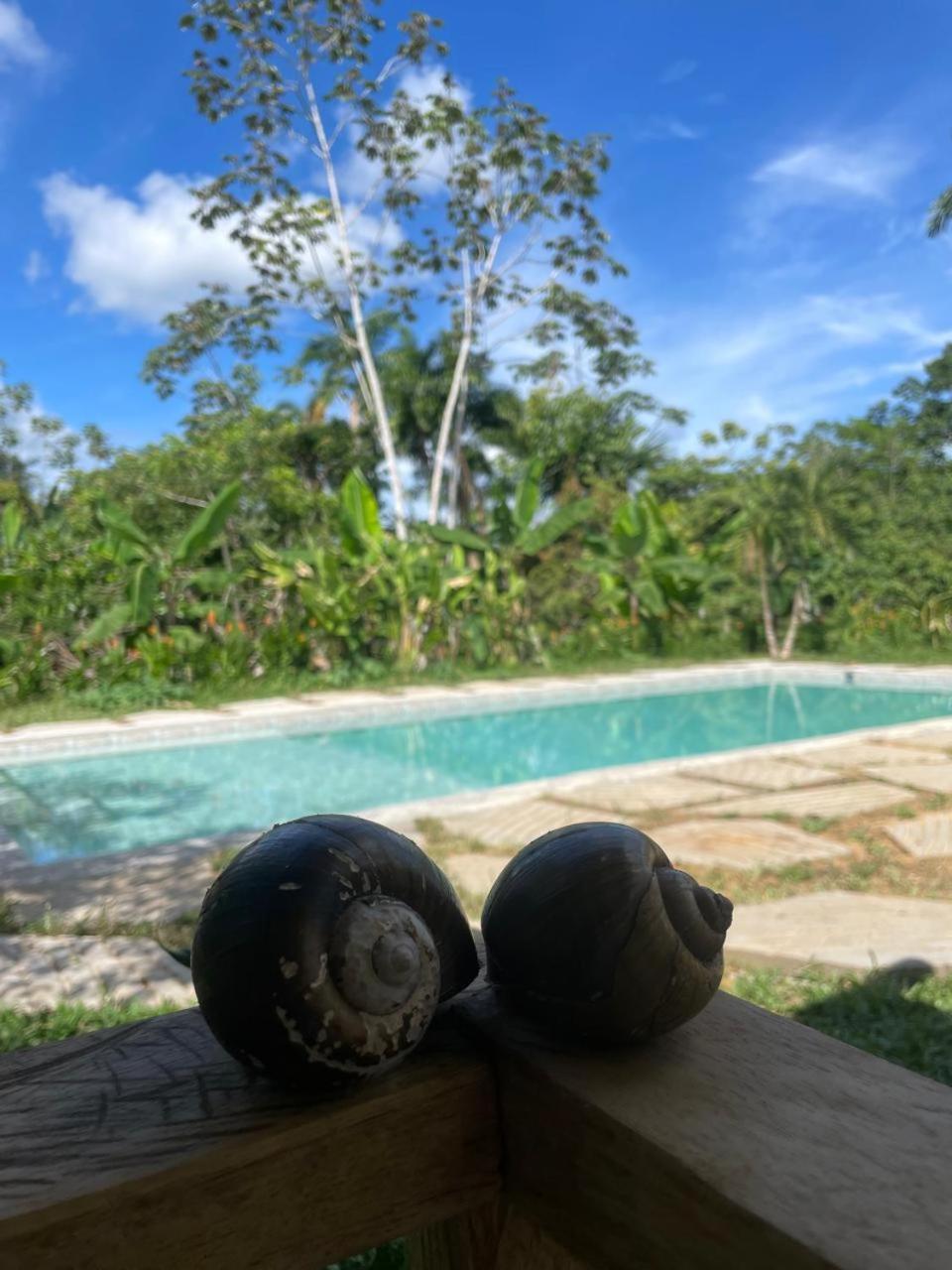 Purachata Ecolodge Iquitos Eksteriør billede