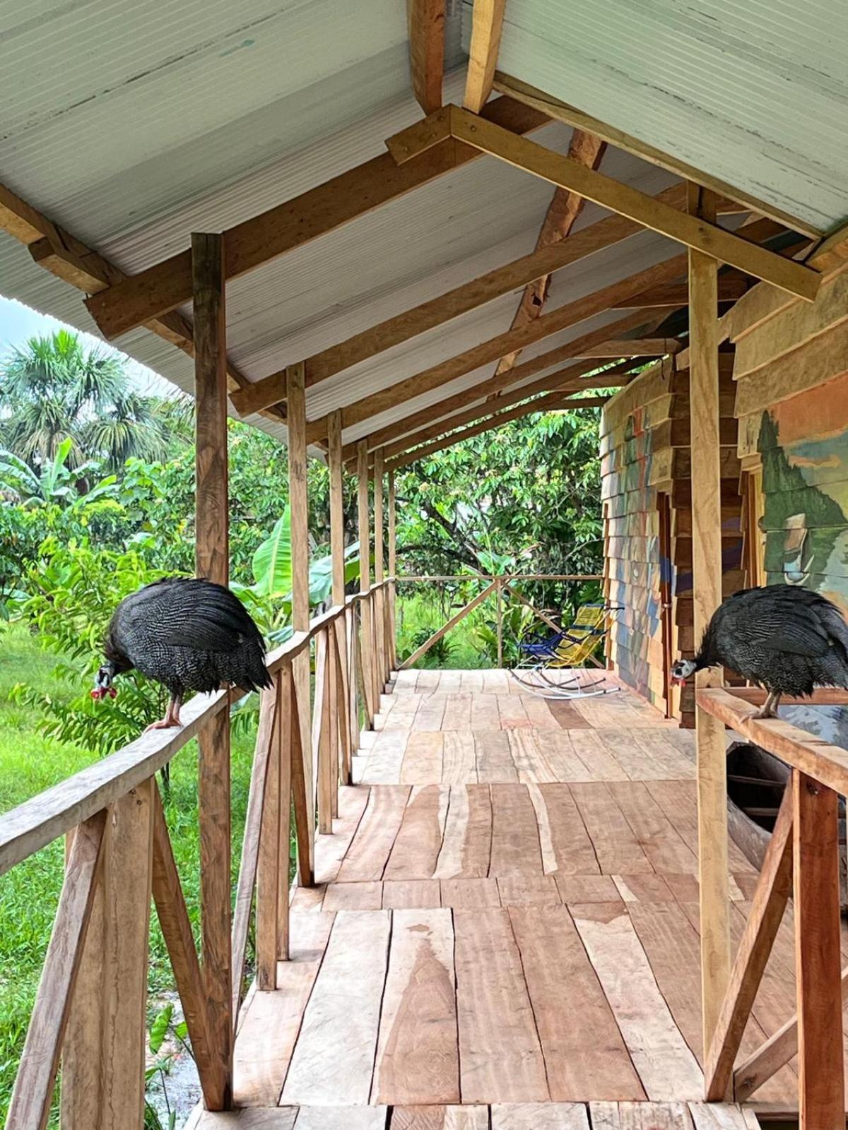 Purachata Ecolodge Iquitos Eksteriør billede