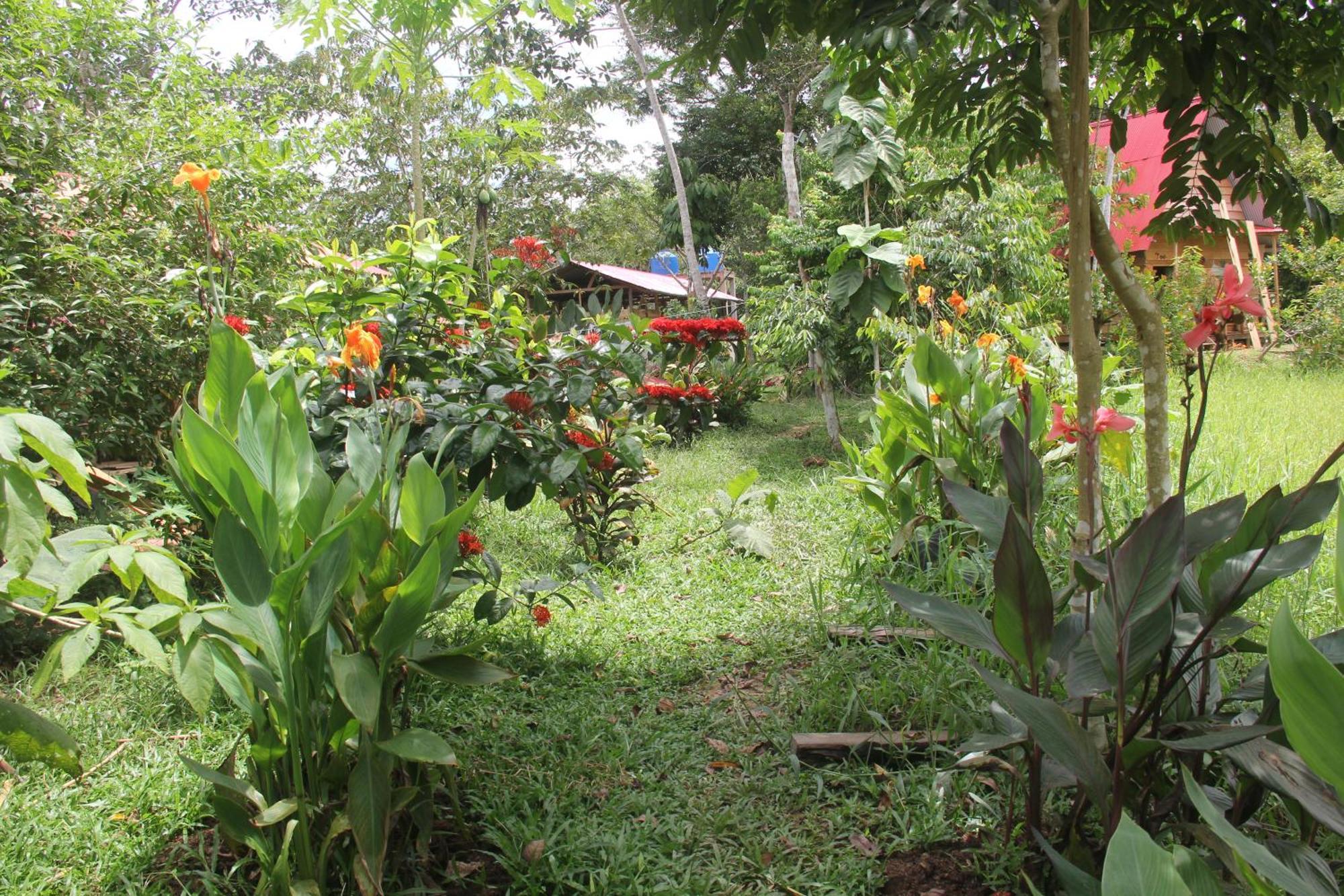 Purachata Ecolodge Iquitos Eksteriør billede